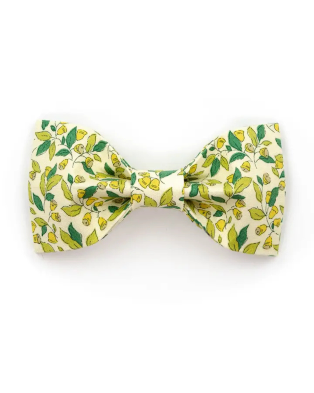Dog Bowtie