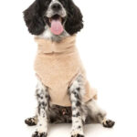 Dog Fleece Sweater