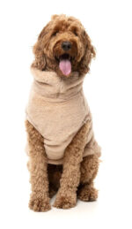 Dog Fleece Sweater - Image 6