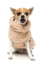 Dog Fleece Sweater - Image 7