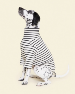 Dog Pullover Shirt
