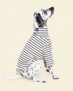 Dog Pullover Shirt - Image 3
