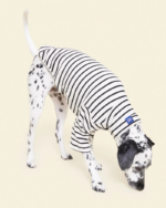 Dog Pullover Shirt - Image 4