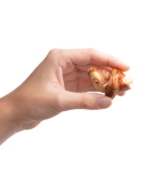 Dog Treat with Apple Flavor - Image 2