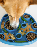 Two-Sided Dog Lick Mat - Image 5