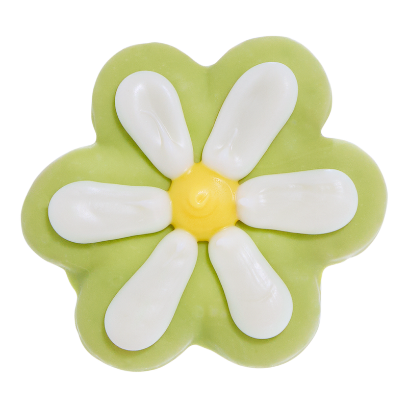 Vegetarian Dog Cookie