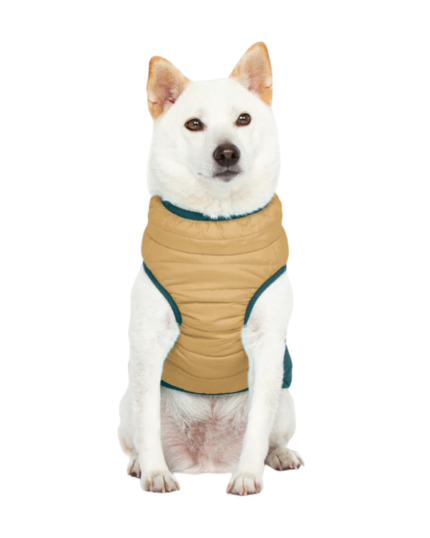 Waterproof Dog Harness Jacket - Image 2